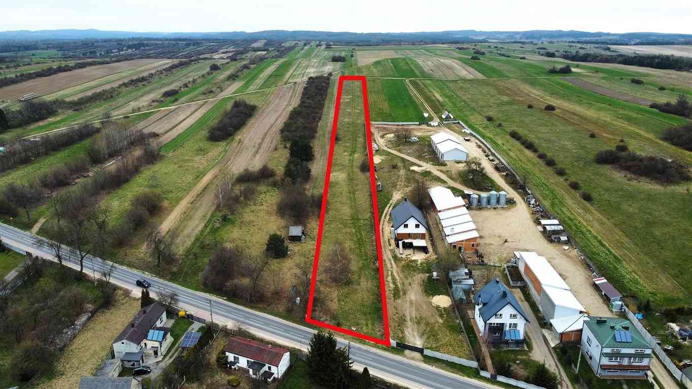 Działka rolno budowlana Wysoka Lelowska k/ Żarek - zdjęcie 2