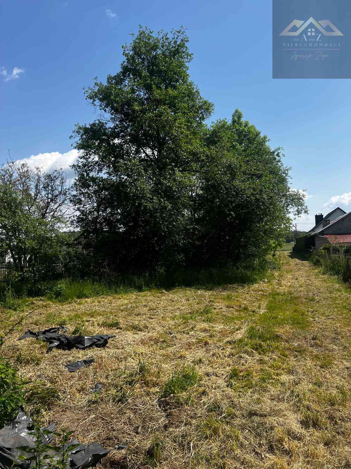 Działka budowlana z domem drewnianym - zdjęcie 7