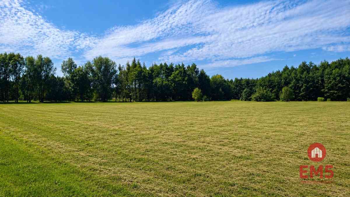 Działka 4400 m2, Szudziałowo - zdjęcie 5