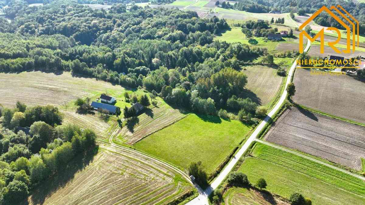 Działki 12–14 ar w spokojnej okolicy – Zwiernik, 1 - zdjęcie 3