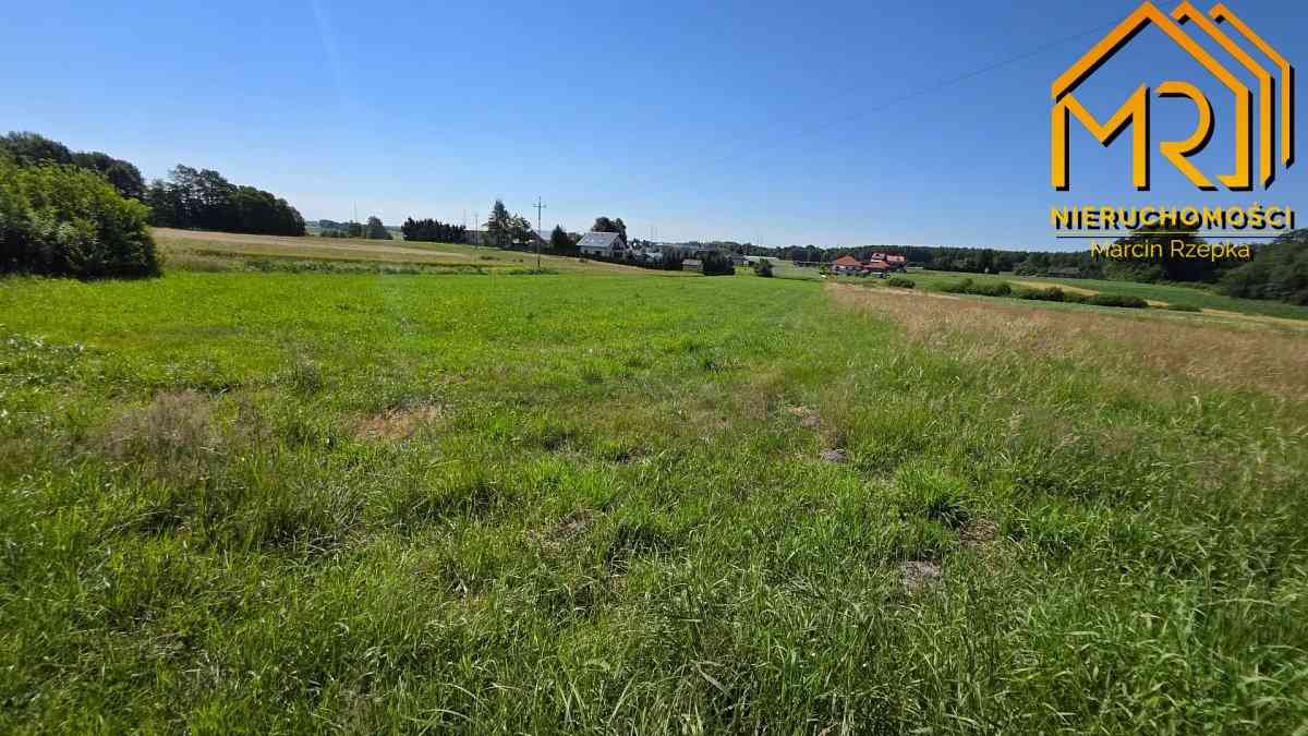 Działka z wydanymi warunkami zabudowy – gm. Czarna - zdjęcie 6
