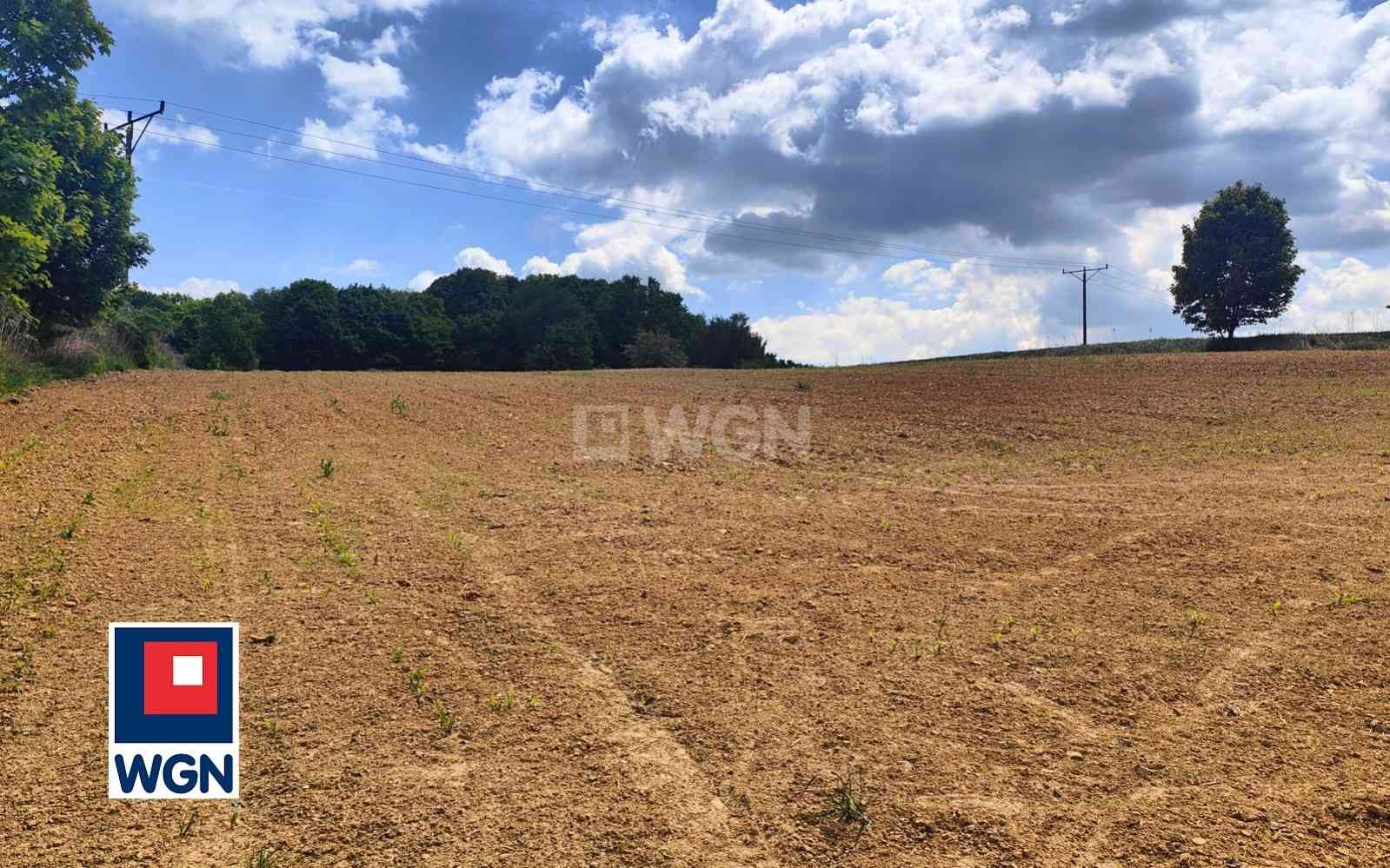 Działka na sprzedaż - Celejów, Celejów - zdjęcie 3