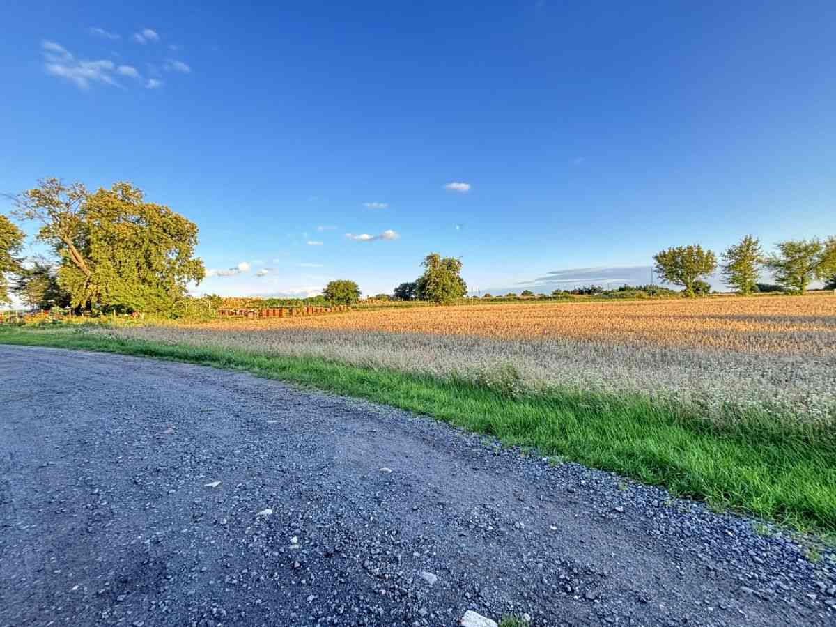 Dopasuj powierzchnię do potrzeb | Od 812m² do 7155 - zdjęcie 20
