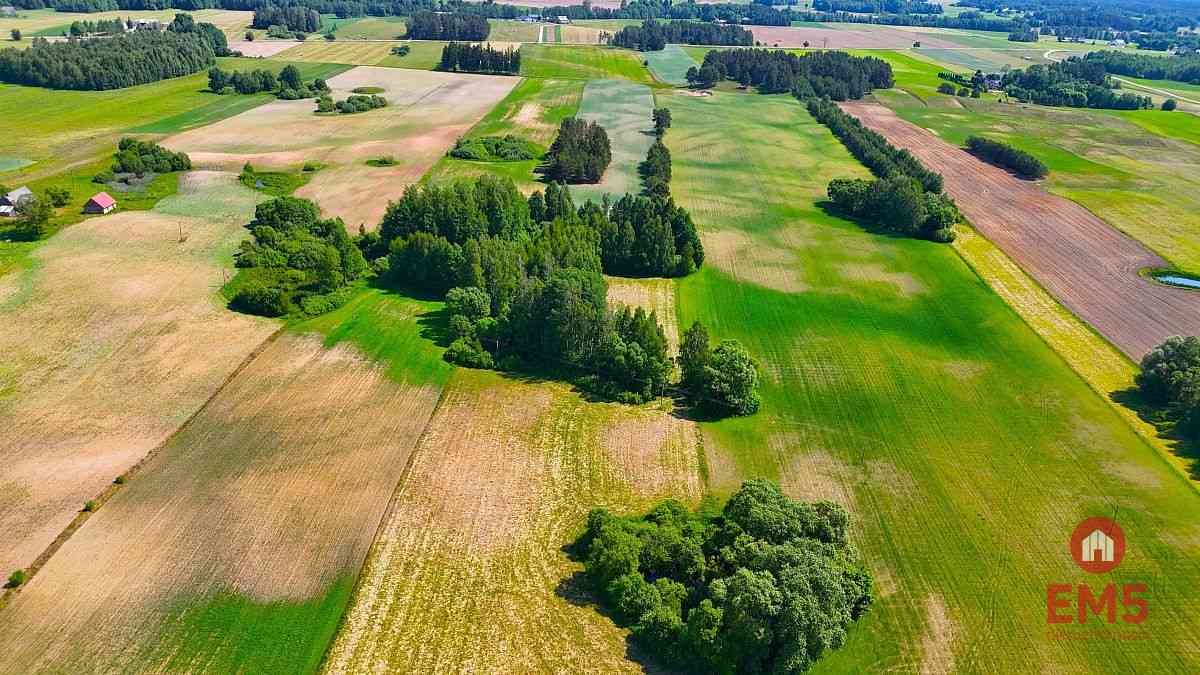 Działka nad jeziorem - zdjęcie 6