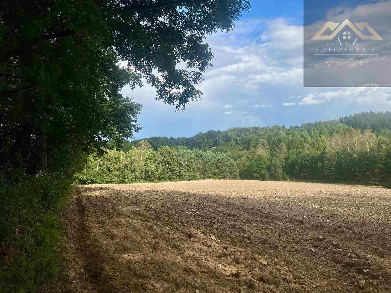 Działki budowlane blisko Tuchowa - zdjęcie 8