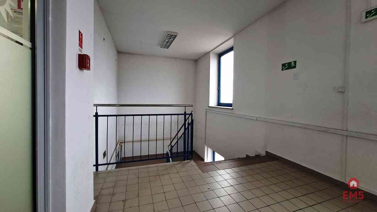 Lokal użytkowy 300 m2 na wynajem - zdjęcie 14