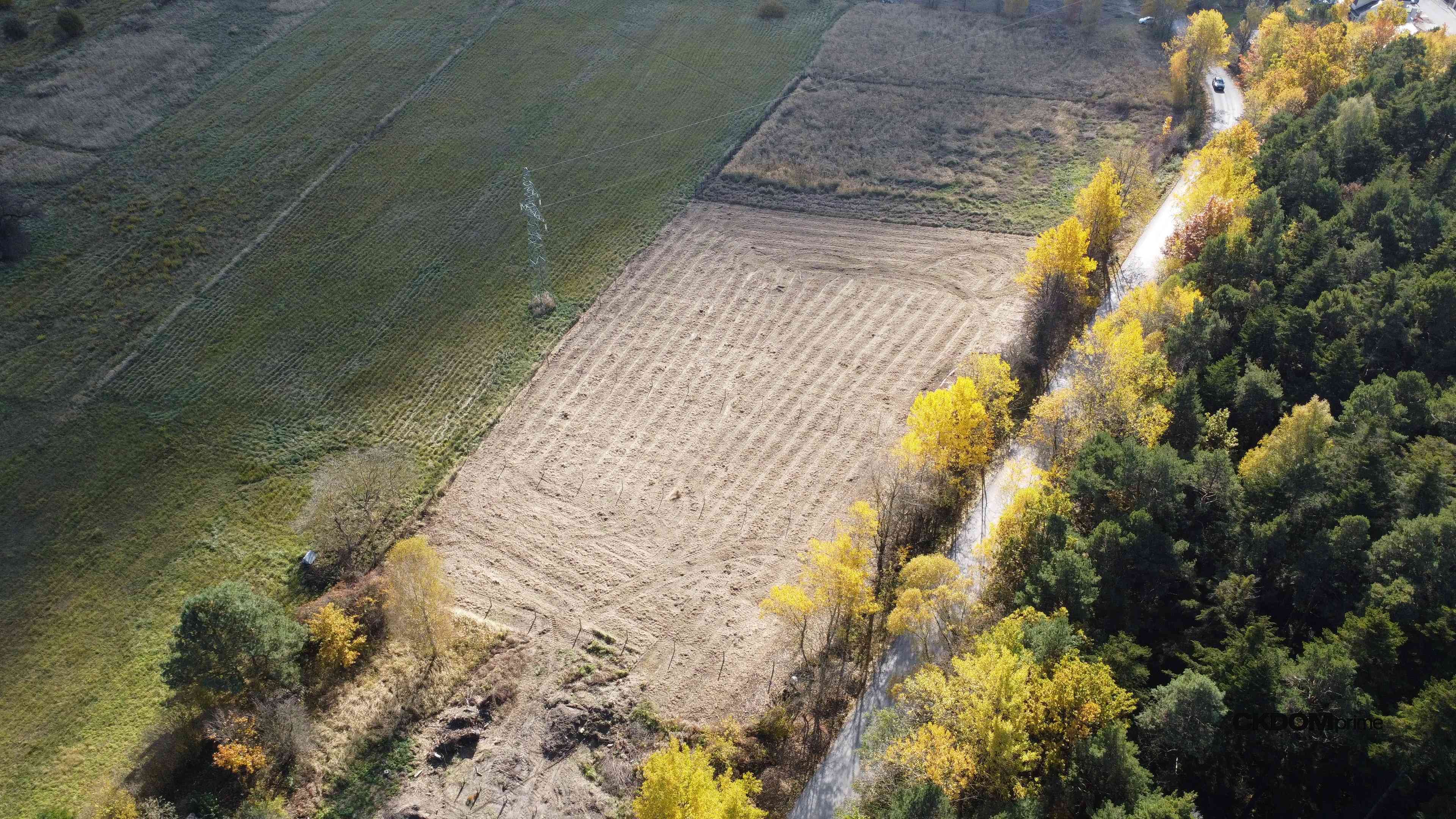Kielce Klecka działka 1043 m2 - zdjęcie 8
