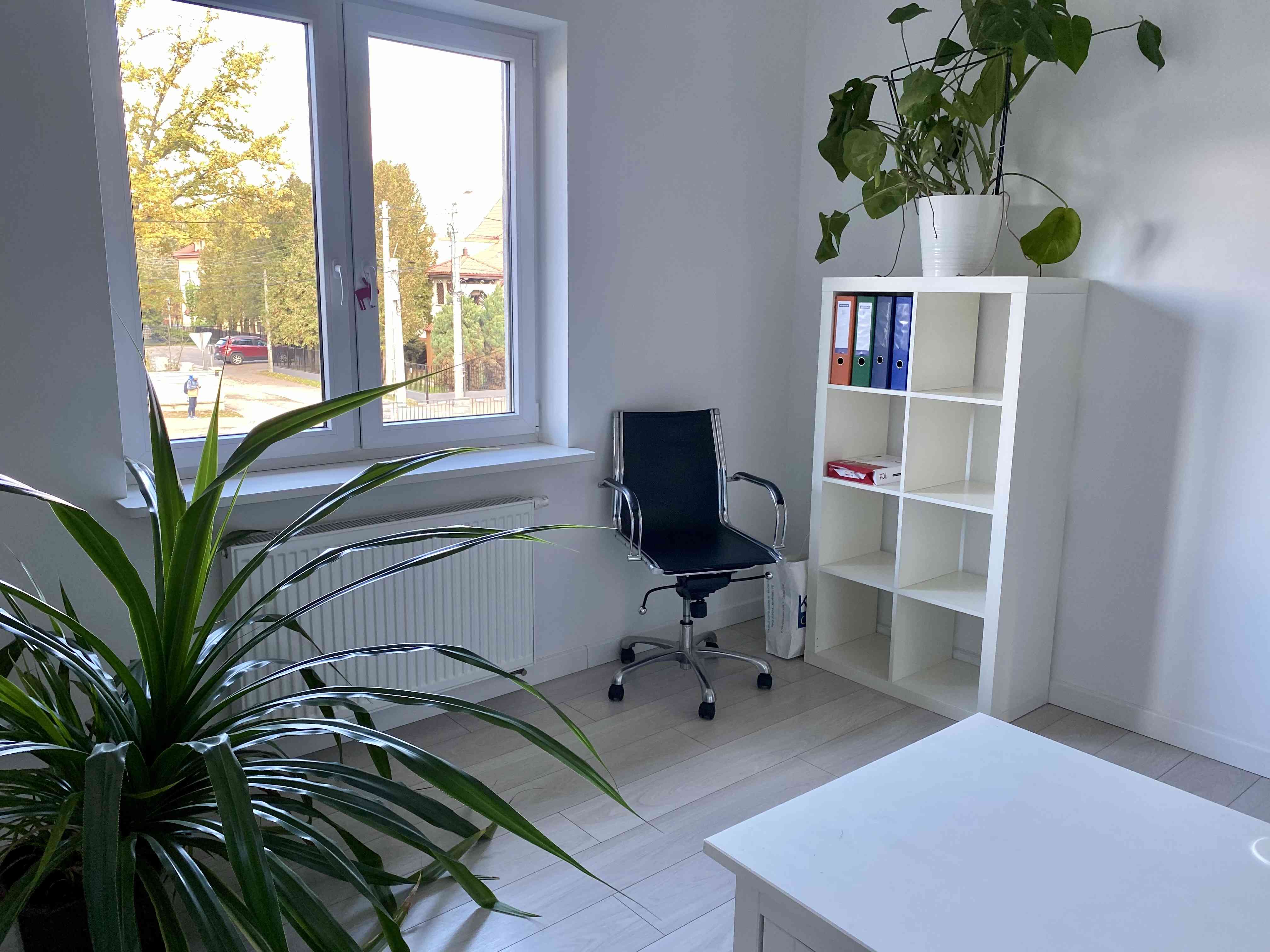Segment inwestycyjny 110 m², dwa niezależne lokale, ogródek, centrum T - zdjęcie 5