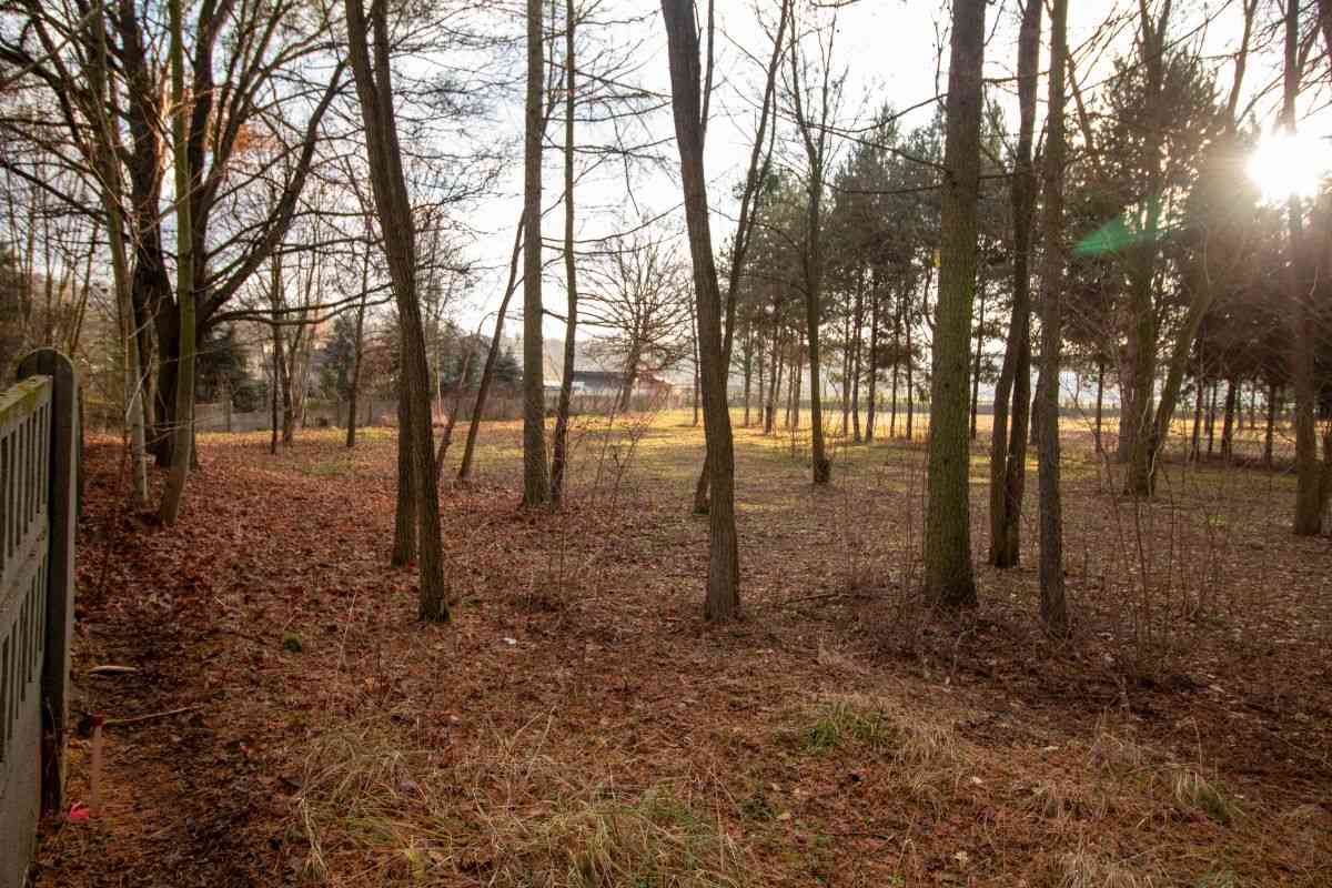 Działka budowlana Koszęcin 1024m2 ul. Słowików - zdjęcie 15