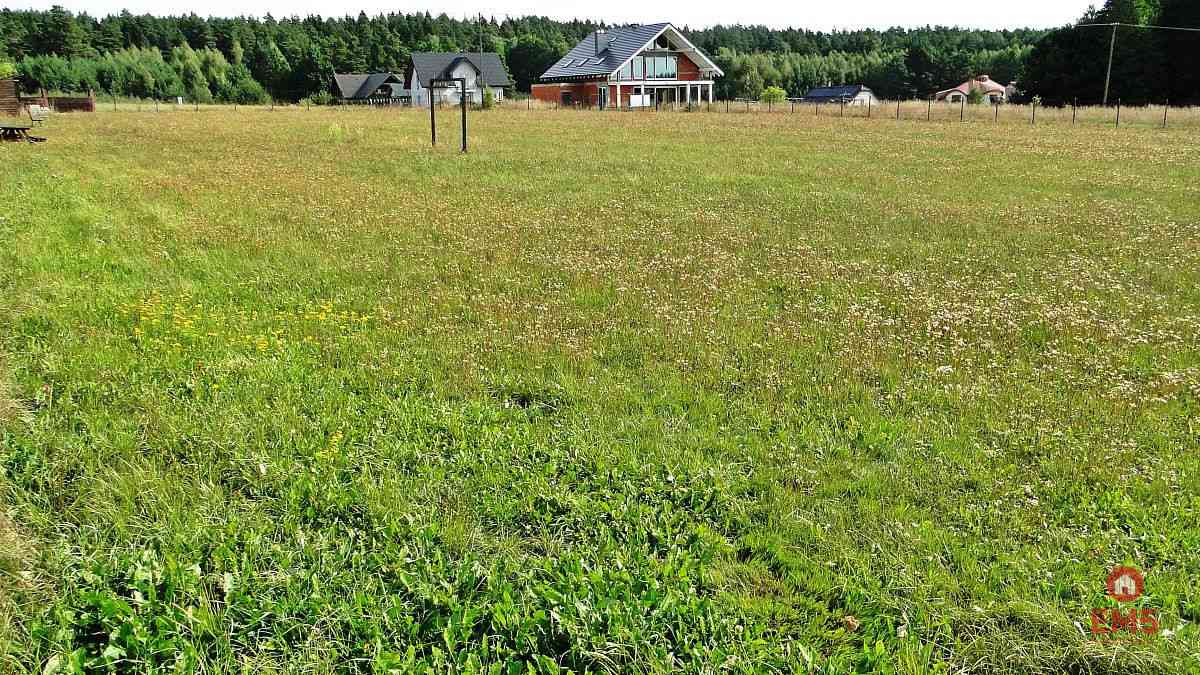 Działka rolno-budowlana 4000 m2, Letniki - zdjęcie 6