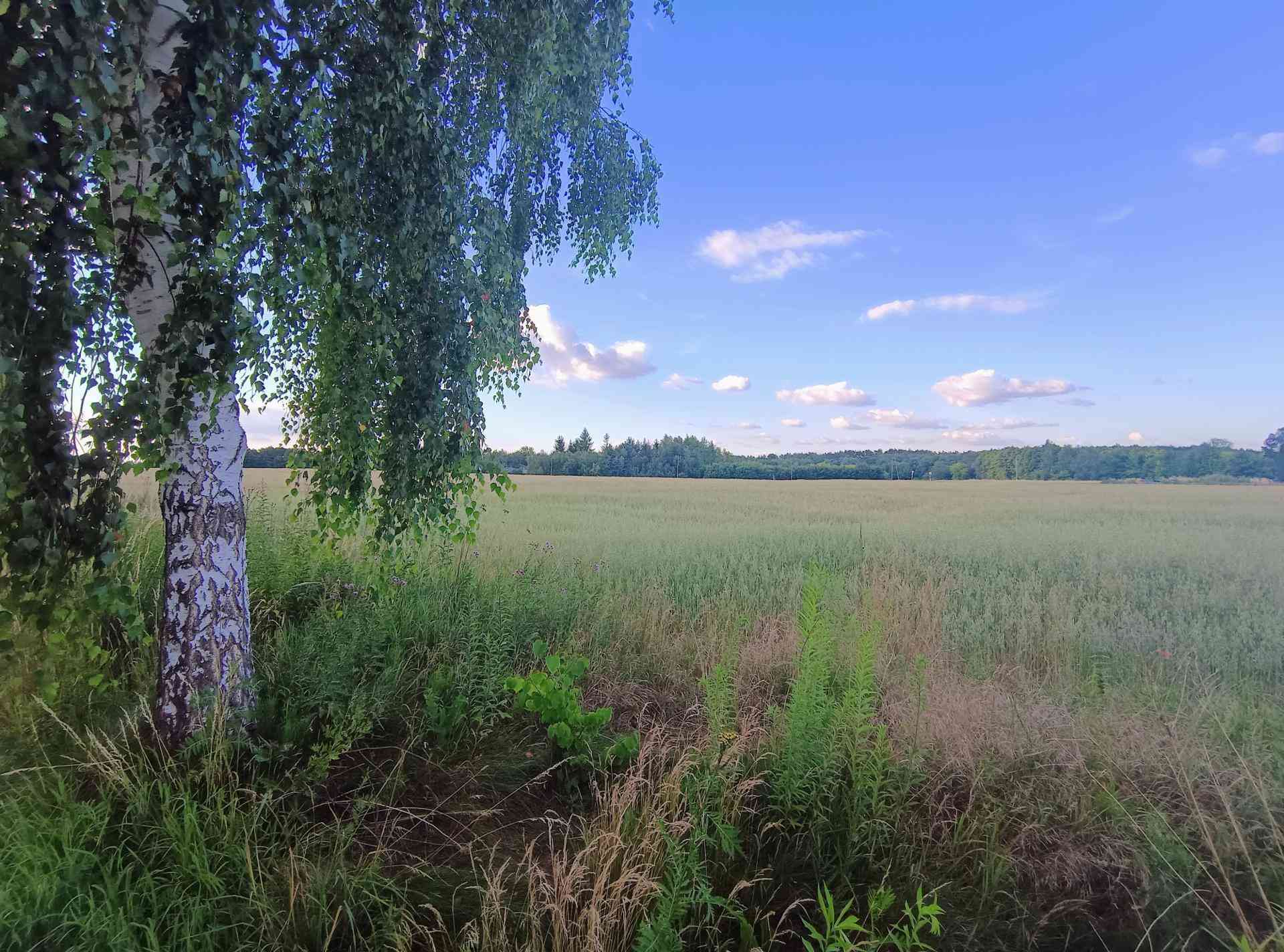 Działka budowlana na sprzedaż Wzniesienia Łódzkie - zdjęcie 5
