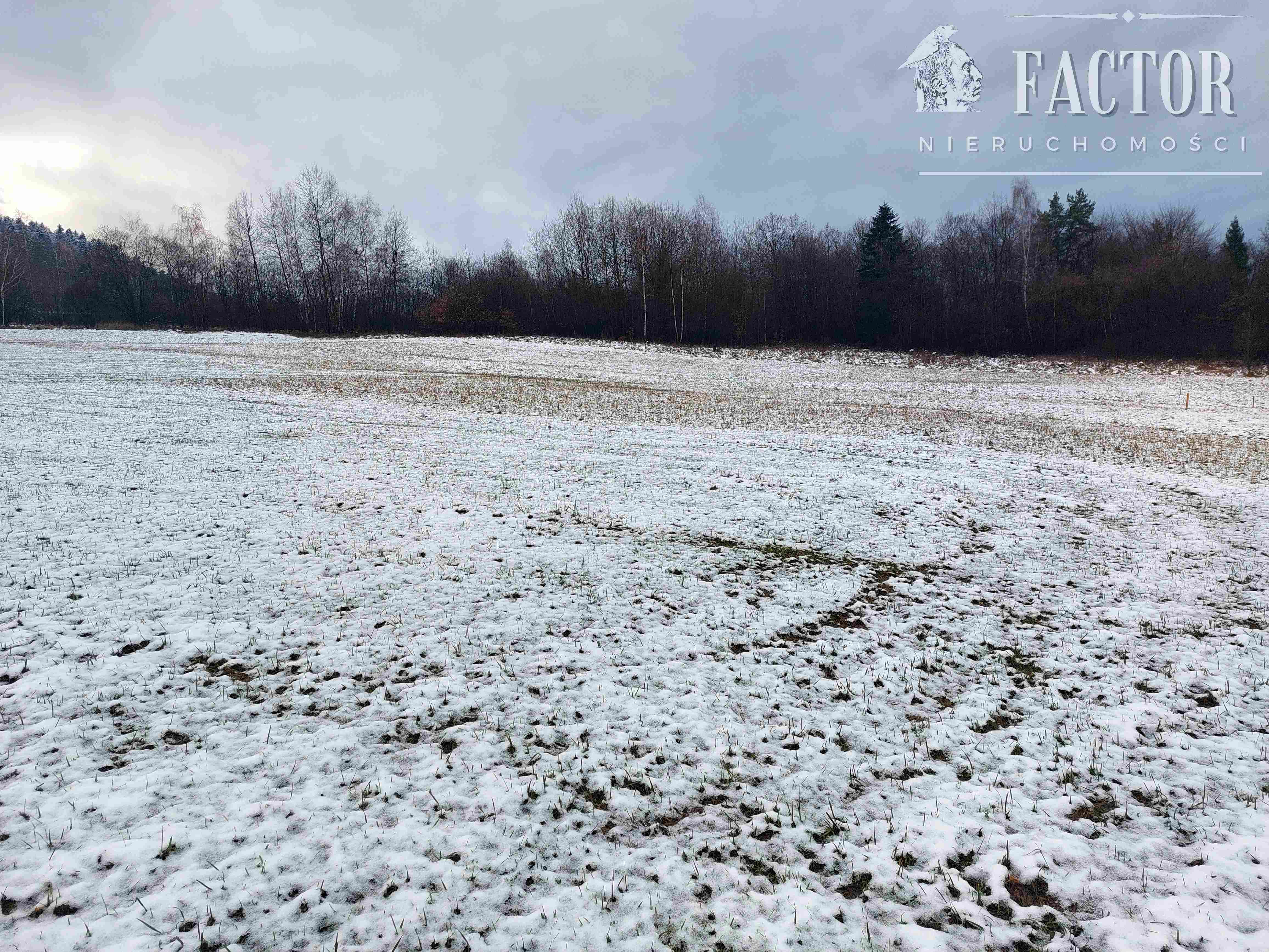 Działka rekreacyjna Klimkówka 1936 m² - zdjęcie 3