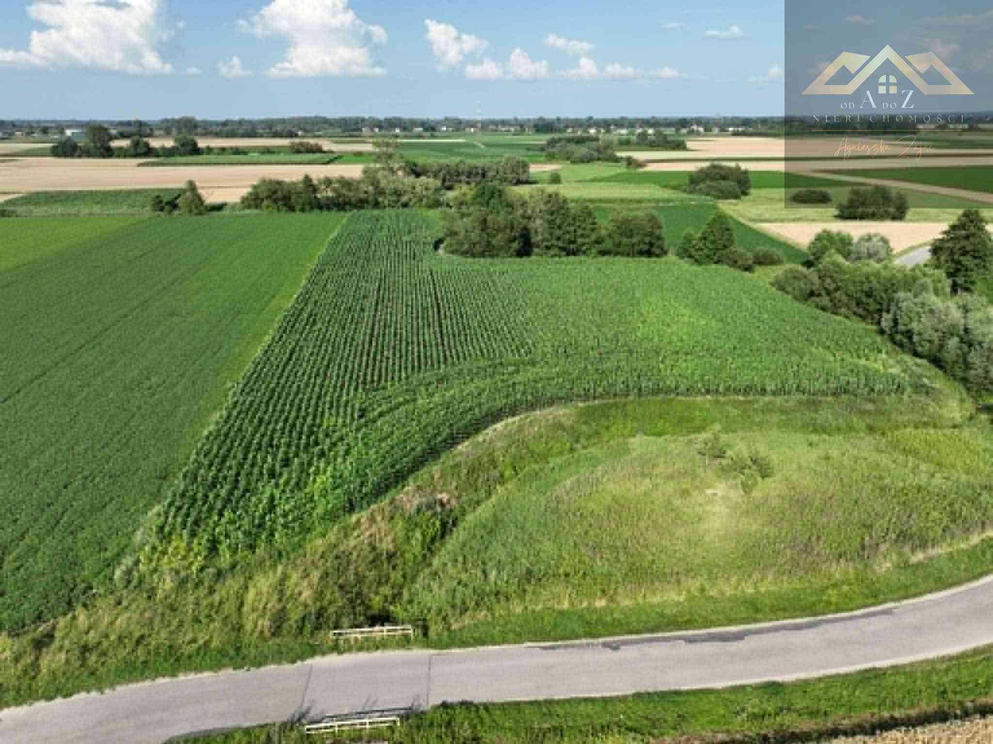 Działka rolna 80 arów w Miechowicach - zdjęcie 8