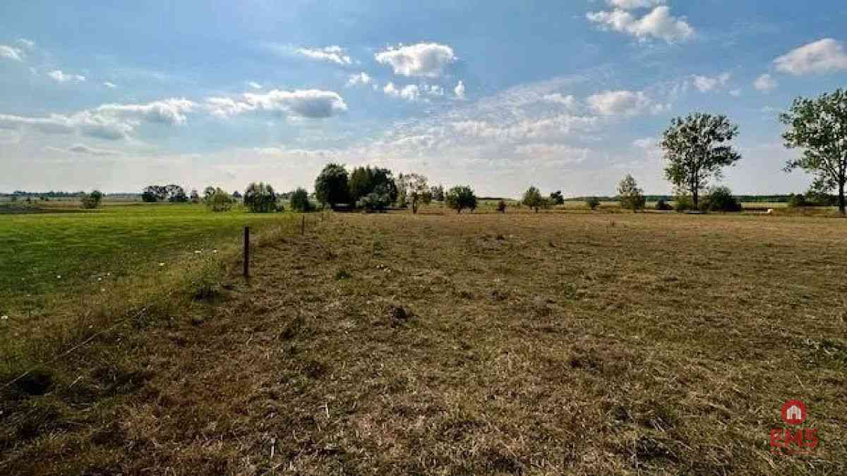 Działka budowlana 1000 m2, Rafałówka - zdjęcie 5