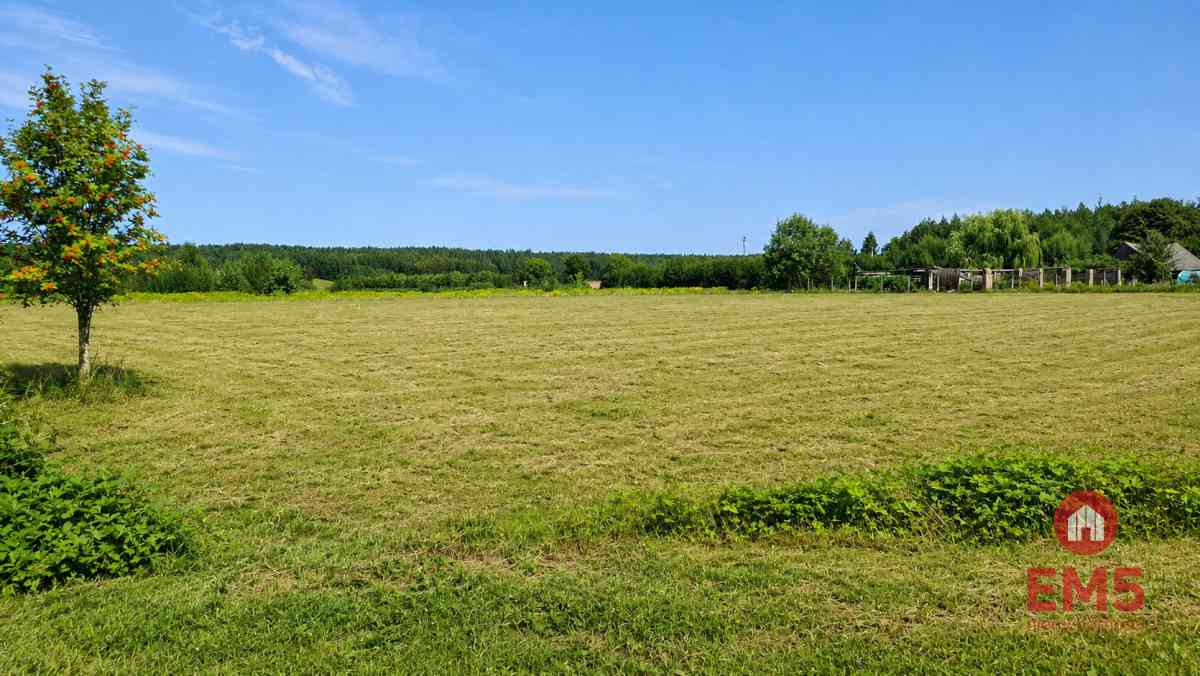 Działka 4400 m2, Szudziałowo - zdjęcie 6