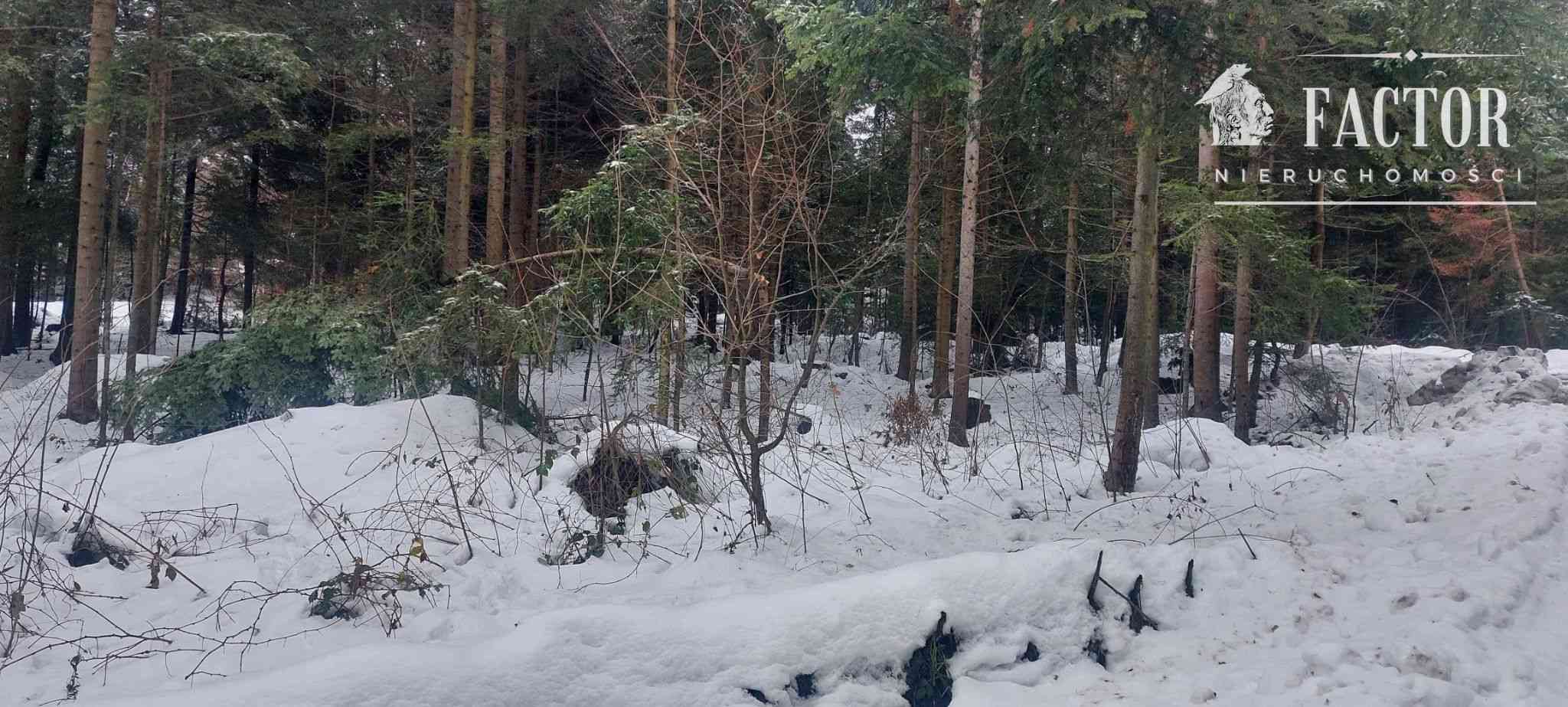 Działka na sprzedaż, Biała Niżna - zdjęcie 3