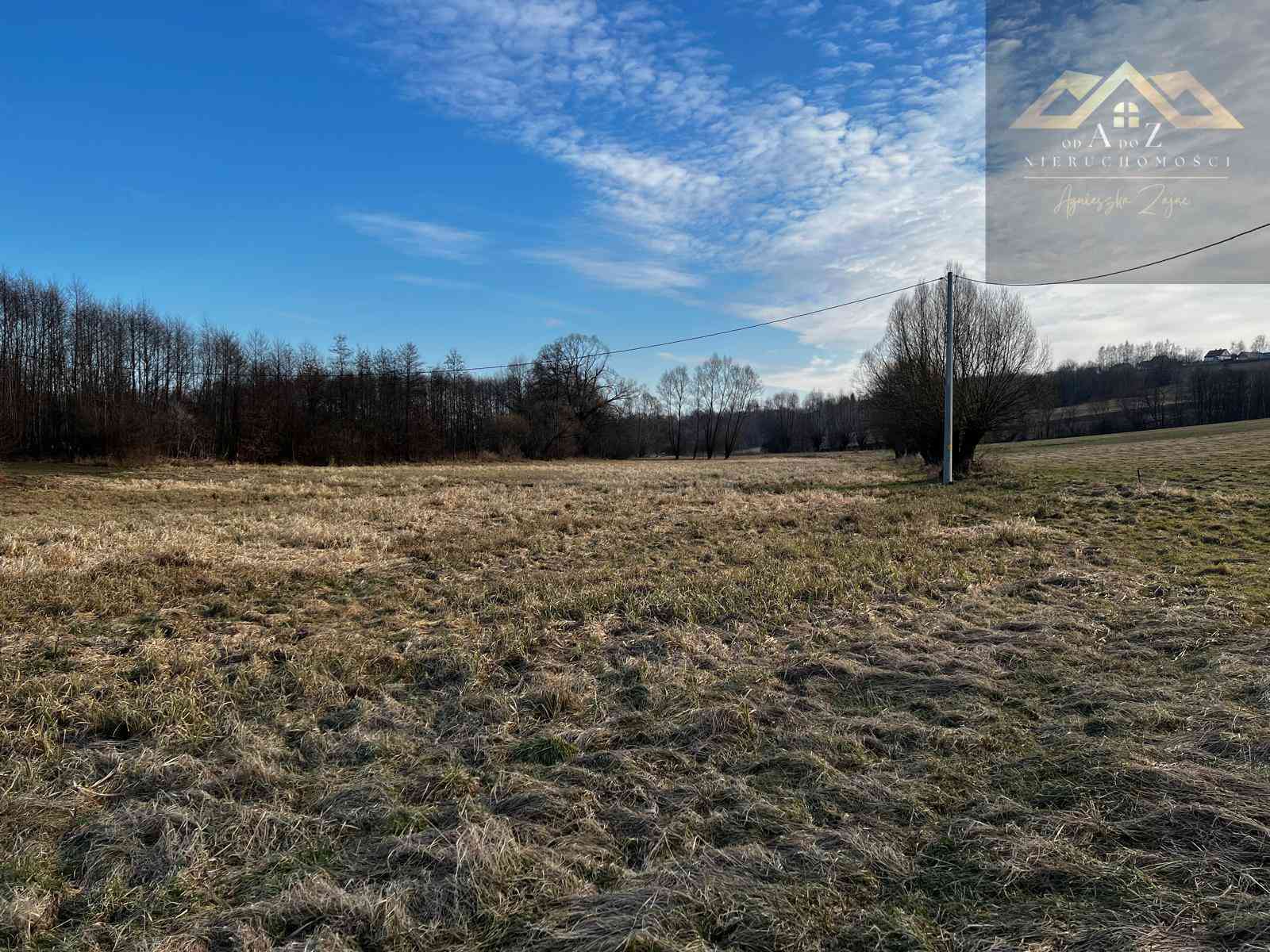 Grunty 3 ha pod agroturystykę, stawy, stadninę koni, zabudowę - zdjęcie 7