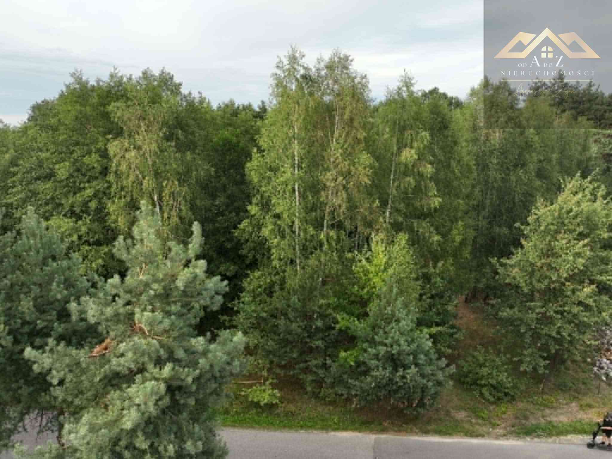 Działka w WZ i prywatnym lasem - zdjęcie 11