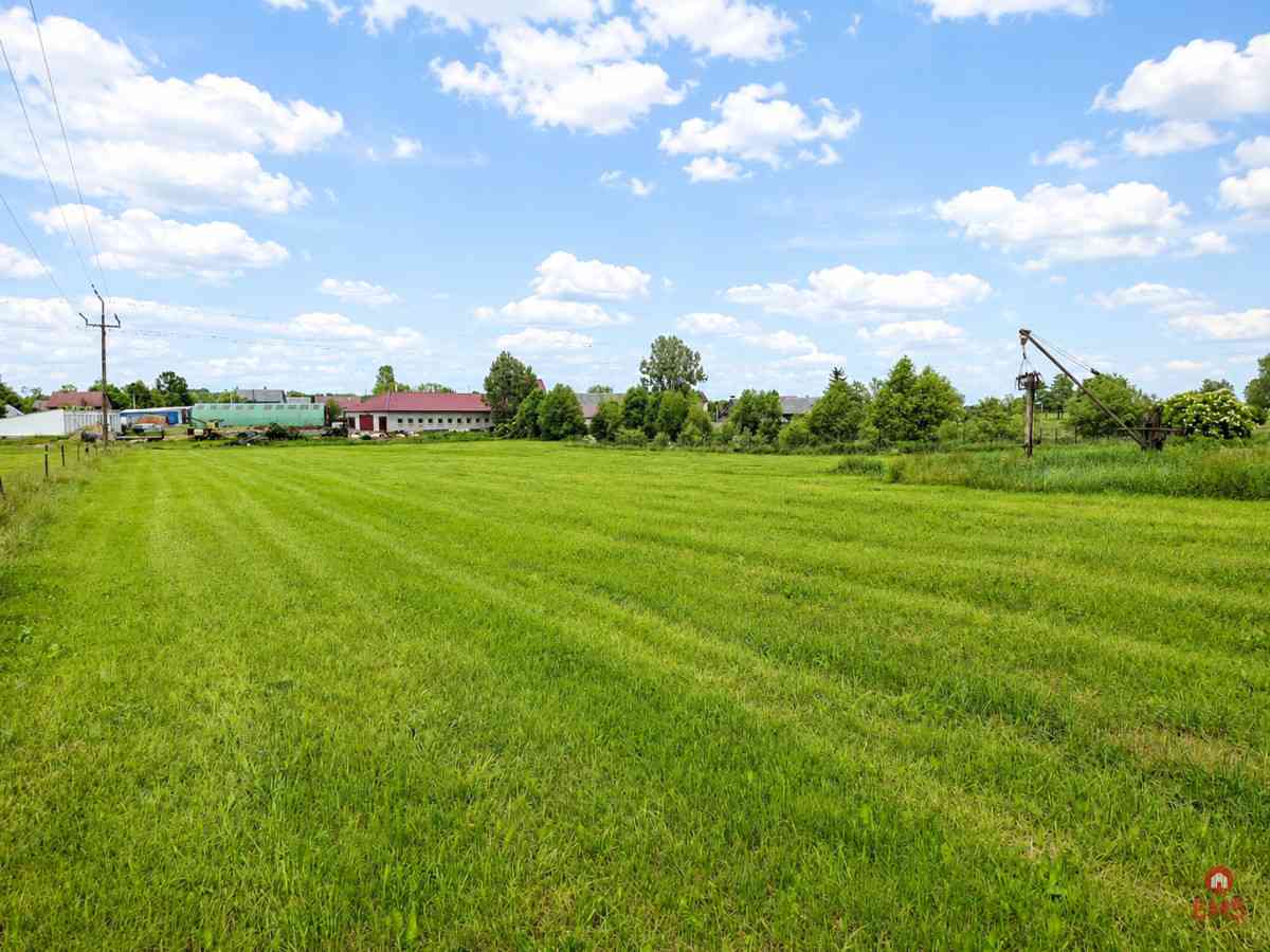 Siedlisko 0,6 ha, gm. Brańsk - zdjęcie 21