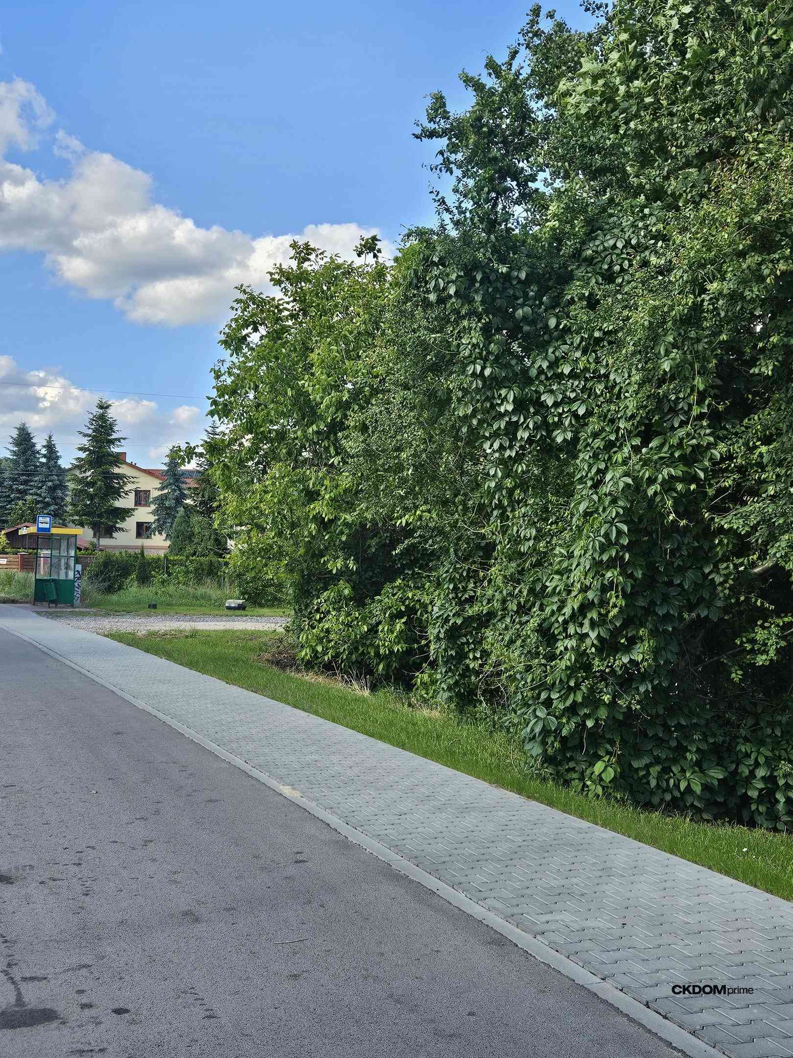 🌲 Wyjątkowa działka budowlana Dąbrowa, gm. Masłów