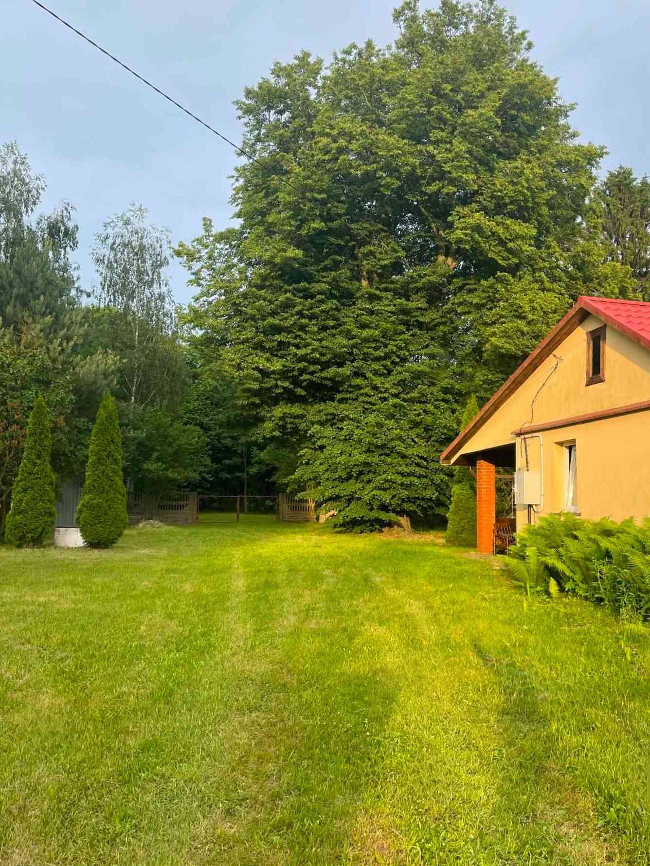 ,,Siedlisko Pod Lipą” Wola Wereszczyńska - zdjęcie 2