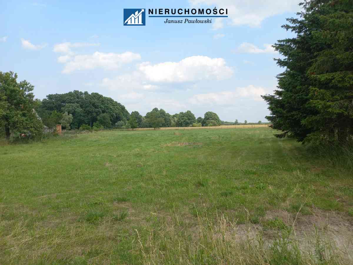 Dom wolnostojący 250m2 | Działka 34ar | Budynki - zdjęcie 27