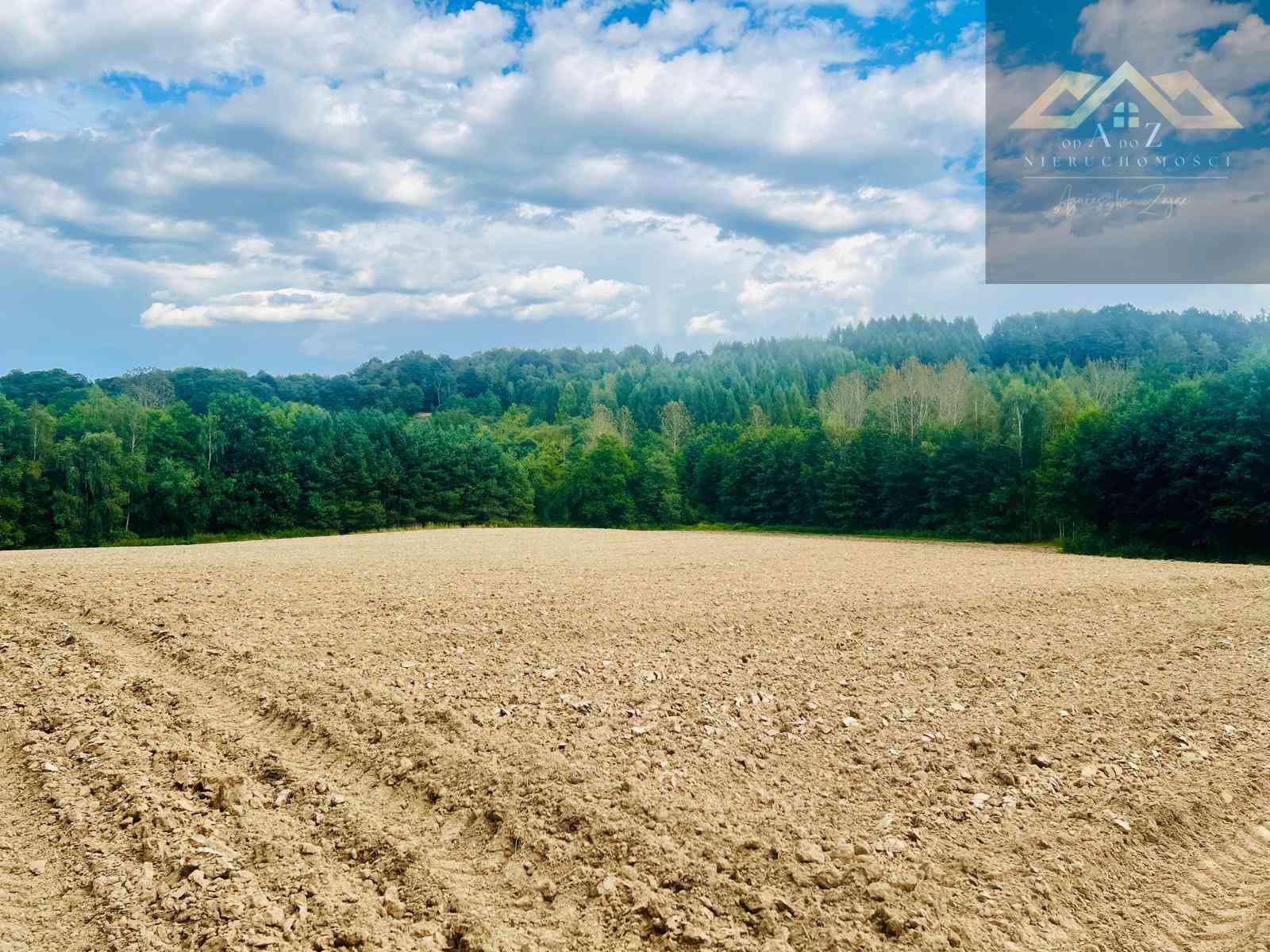 Działki budowlane blisko Tuchowa - zdjęcie 3