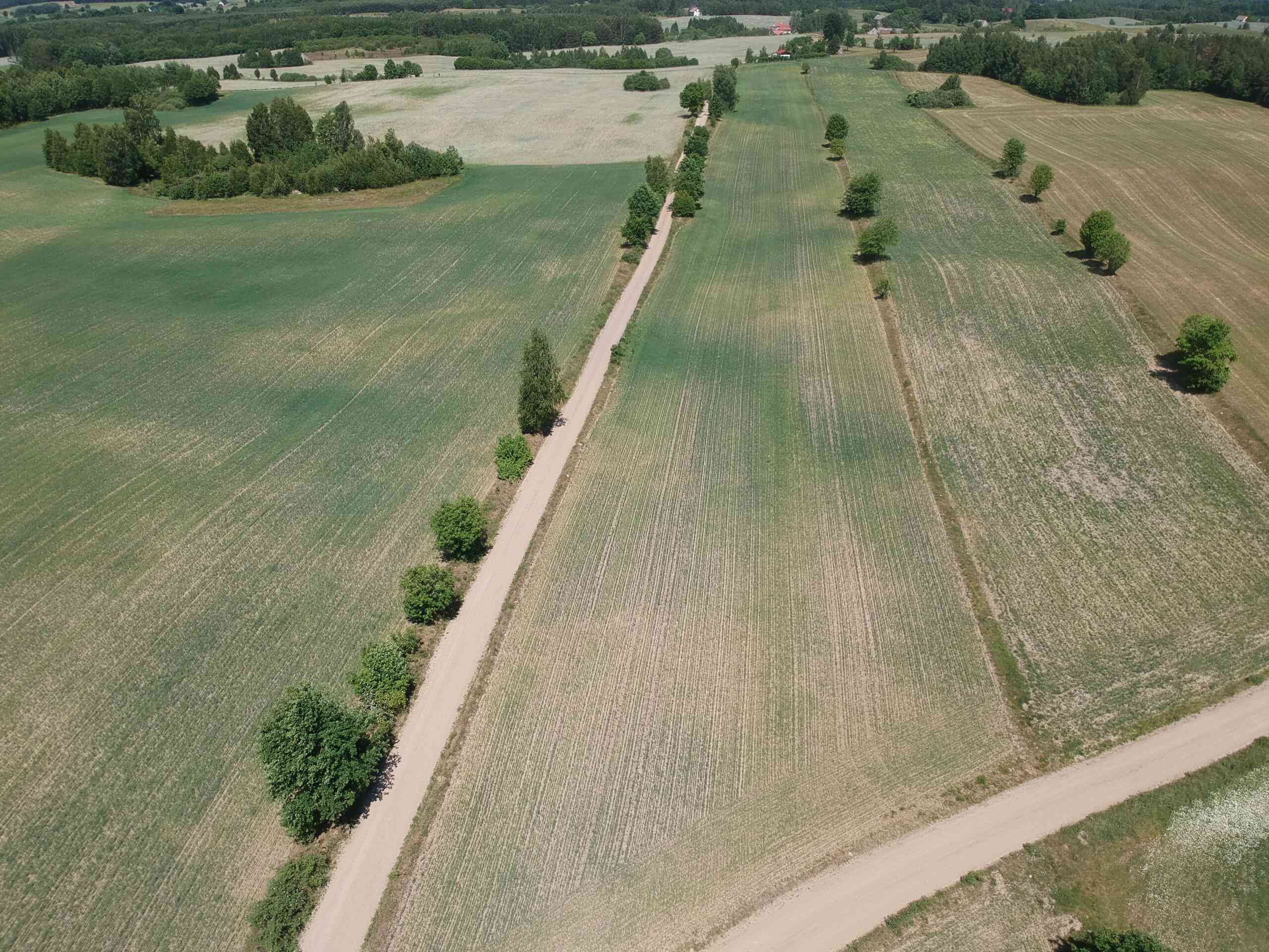 Piękne siedlisko Skrzydłowo Kaszuby - zdjęcie 6