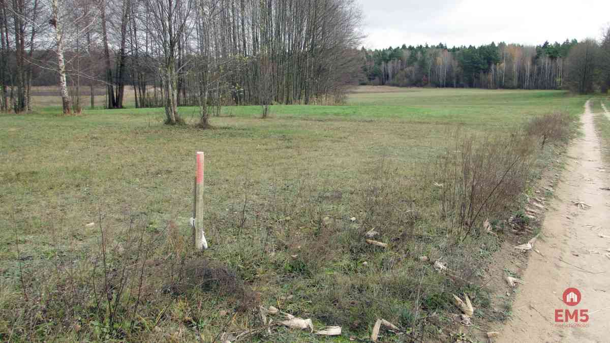 Działka budowlana 1000 m2 - zdjęcie 5