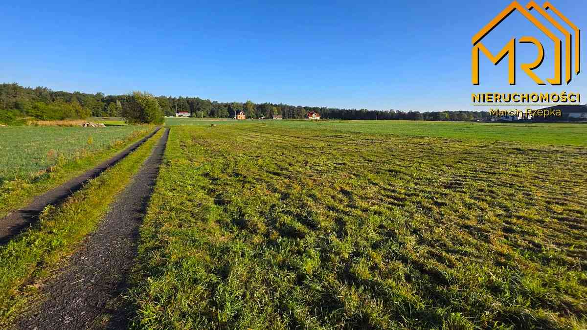 Działka 0,22 ha z WZ – Dulcza Wielka, gm. Radomyśl - zdjęcie 9