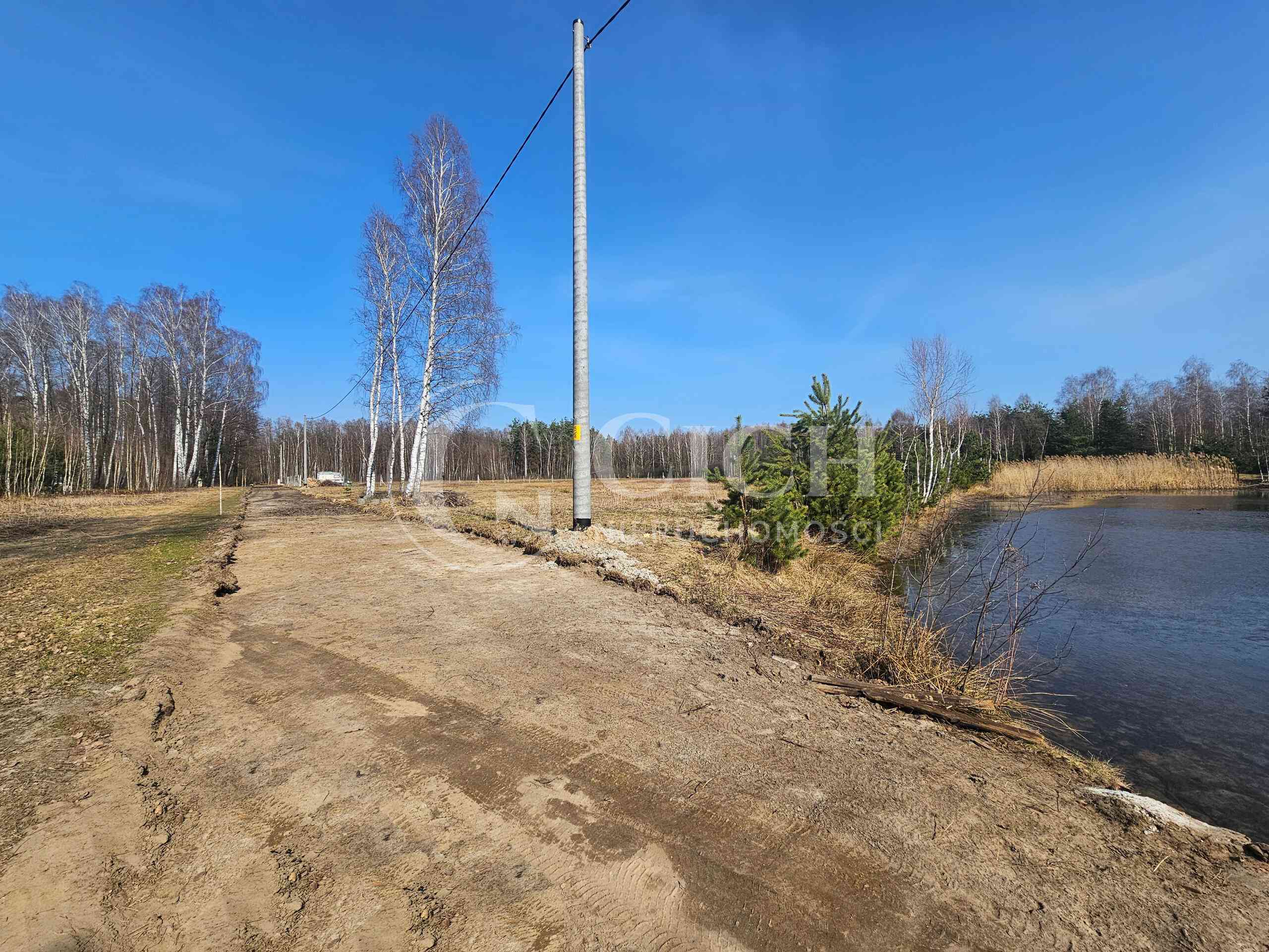 Działka siedliskowa pomiędzy lasami - zdjęcie 3