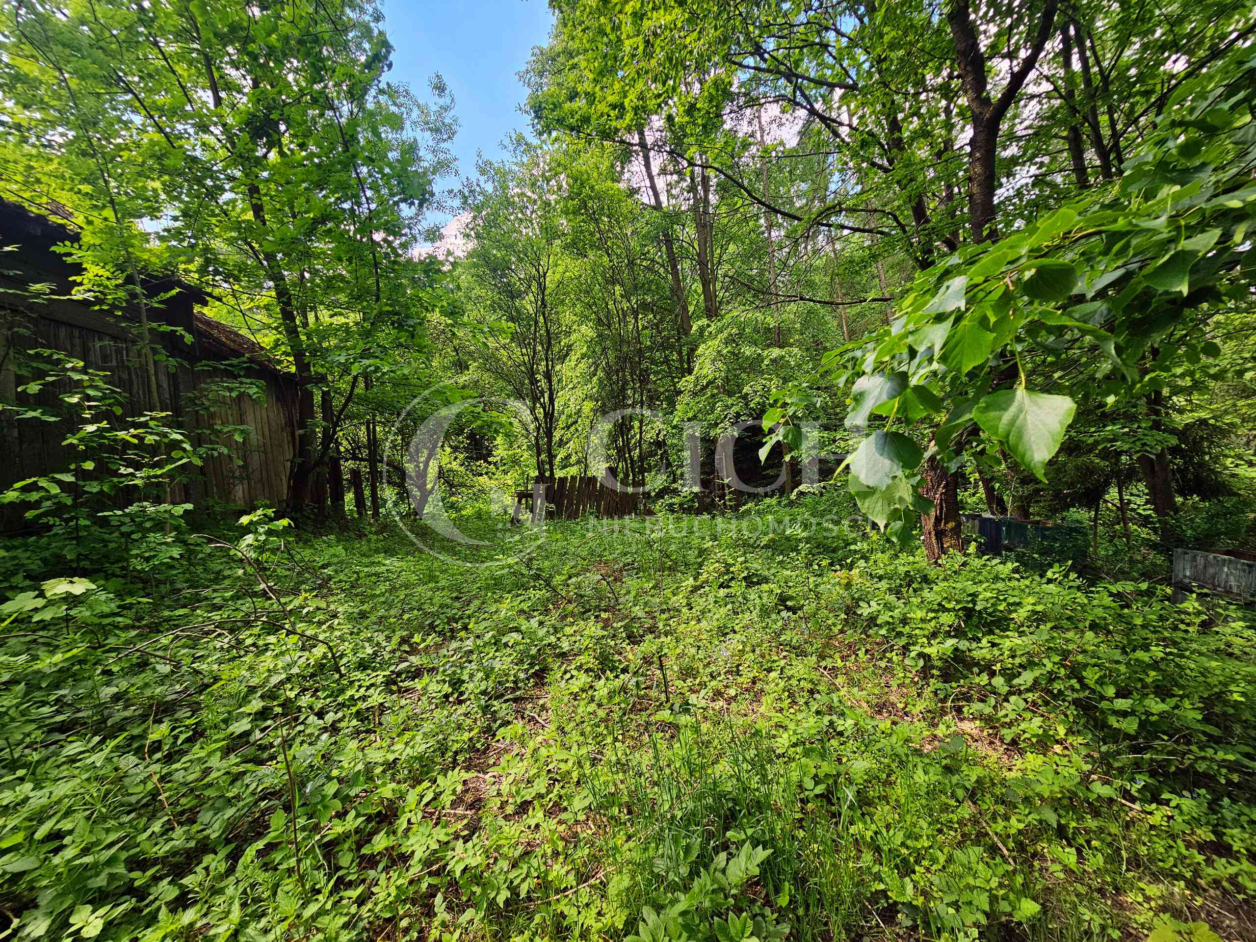 Działka budowlano-leśna 0,8445 ha | Łękawka gm. Tarnów - zdjęcie 13