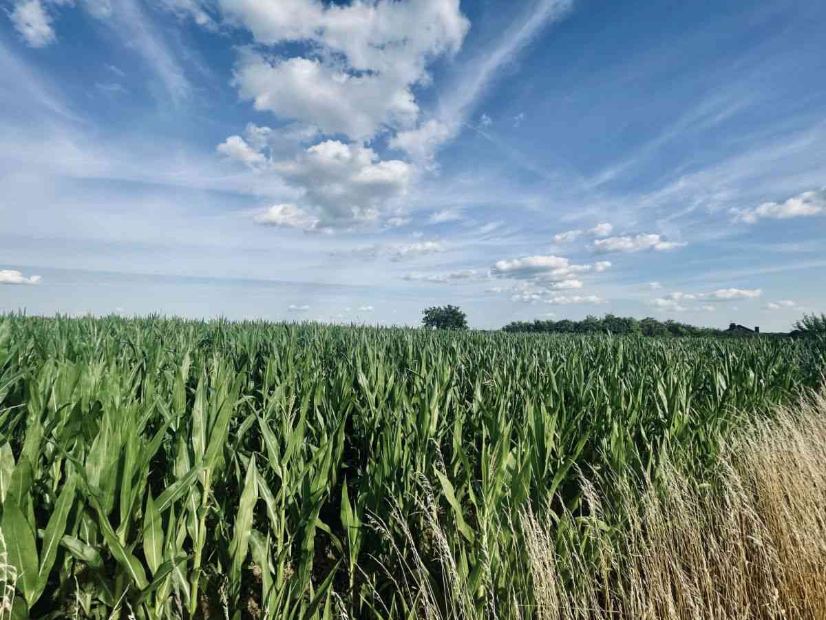 MPZP | Prąd, woda, gaz | Prostokątne, płaskie | - zdjęcie 7