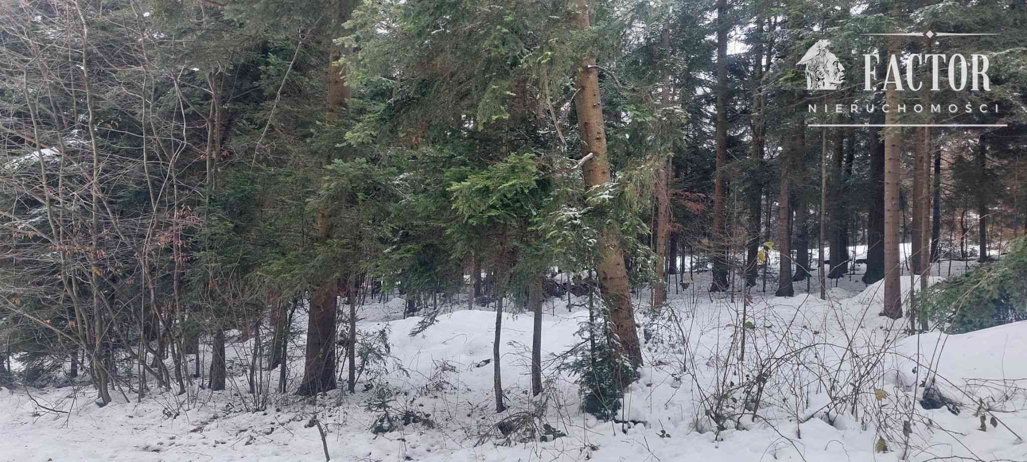 Działka na sprzedaż, Biała Niżna