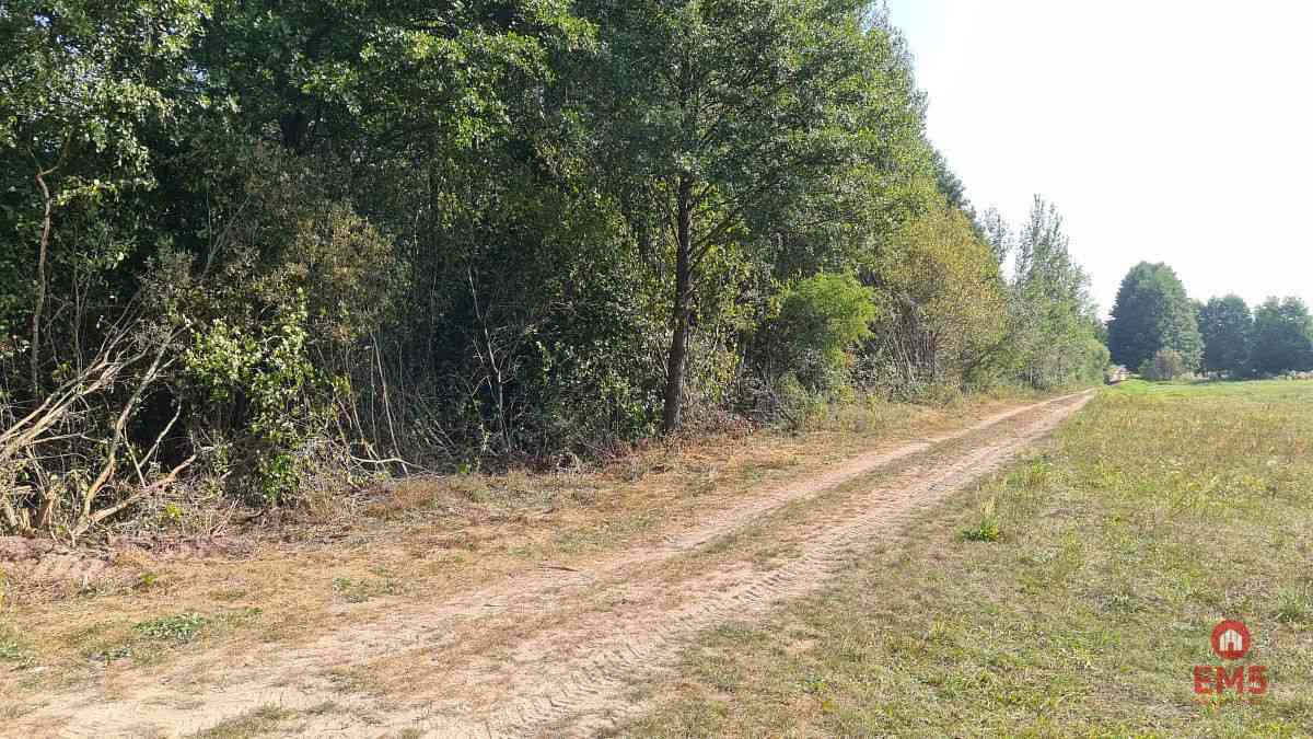 Ciasne. Działka budowlana 5100 m2. - zdjęcie 3