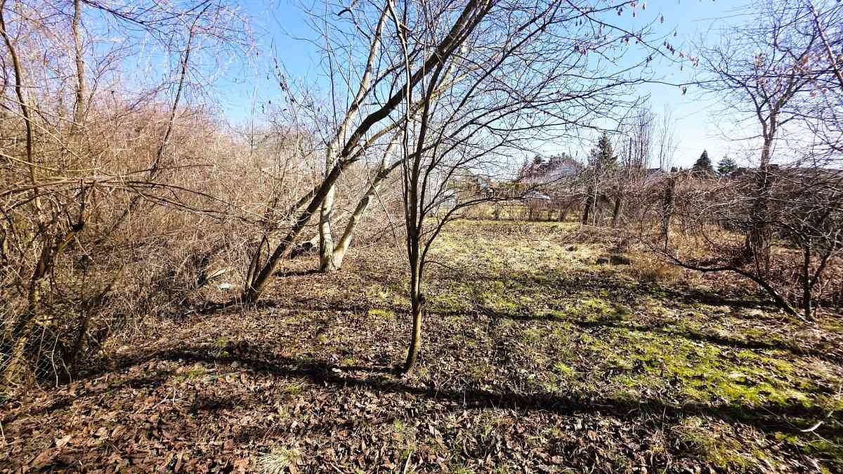 Działka z wydanymi WZ na dwa domy - zdjęcie 6