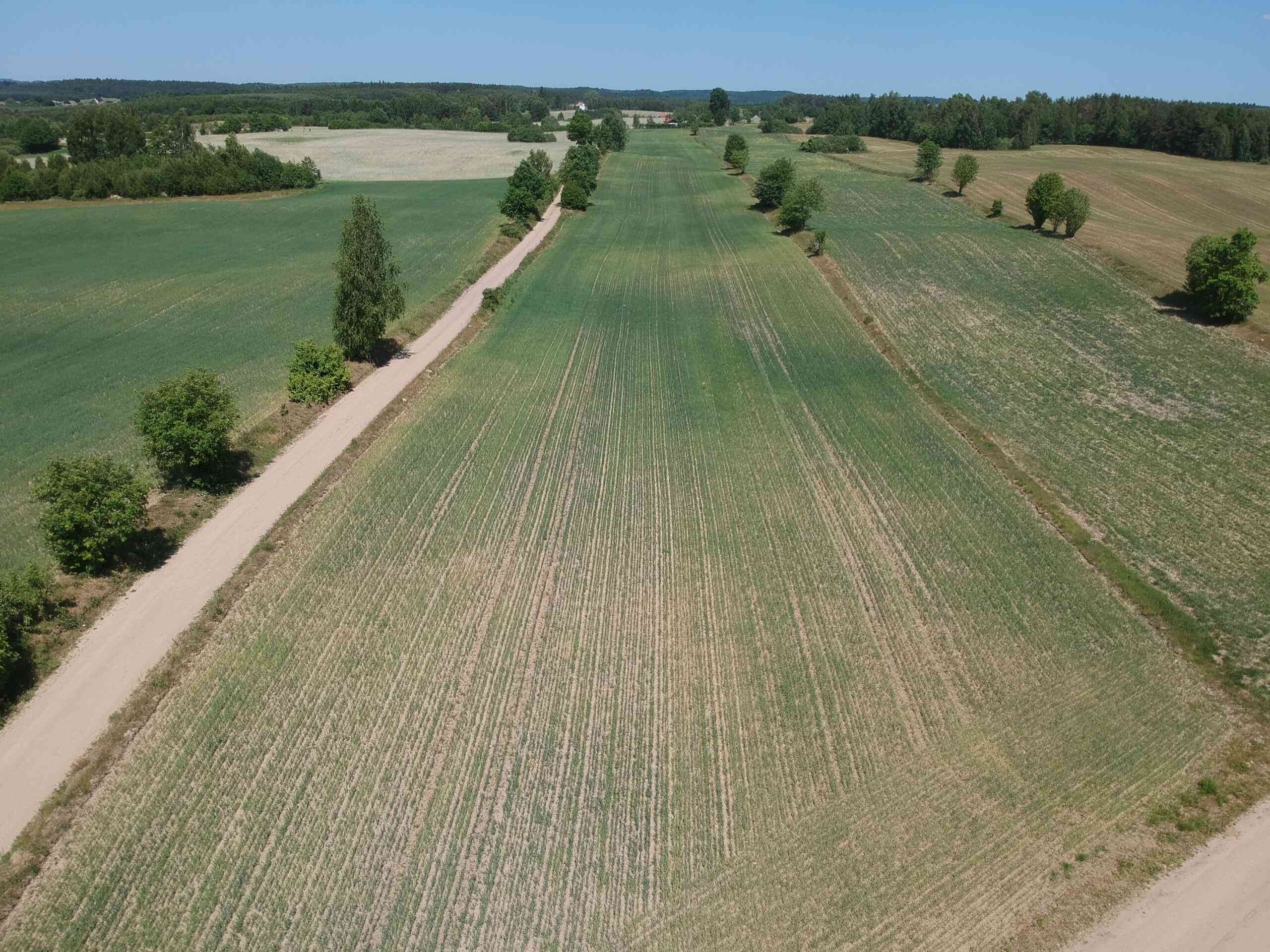 Piękne siedlisko Skrzydłowo Kaszuby - zdjęcie 3