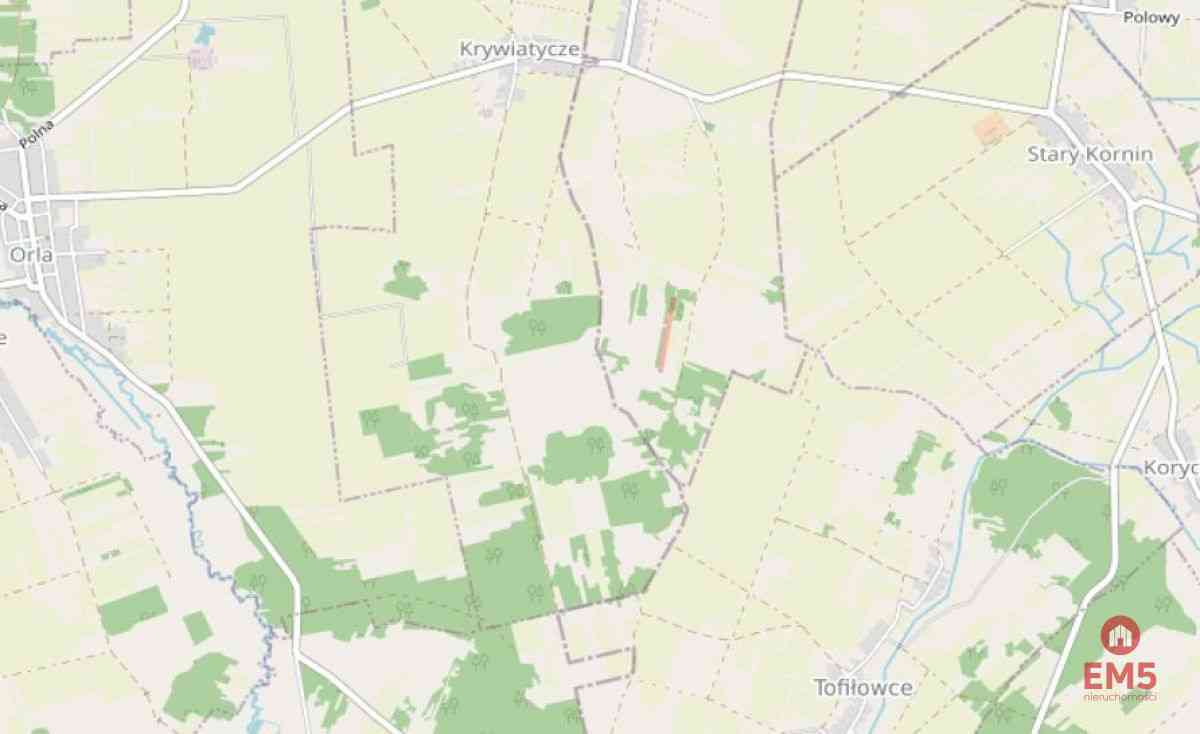 Działka rolna ok. 2 ha w gminie Czyże. - zdjęcie 4