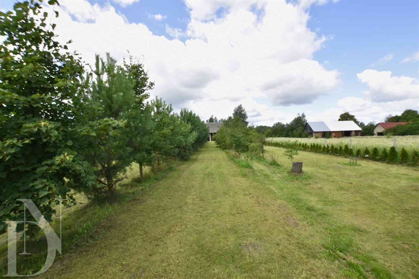 Wyremontowane siedlisko z dużą działką-Suchowolce  - zdjęcie 18