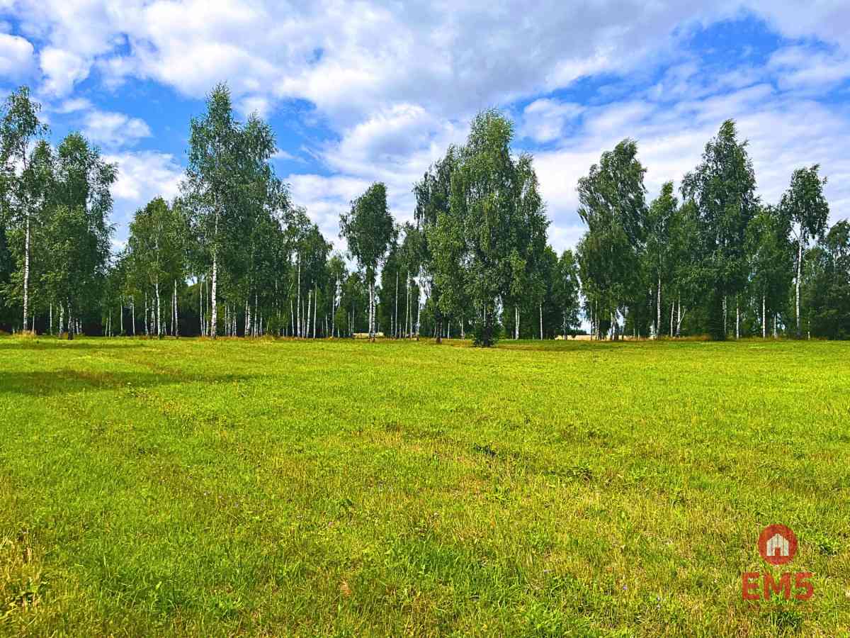 Działka budowlana przy Jeziorze Drwęckim - zdjęcie 3