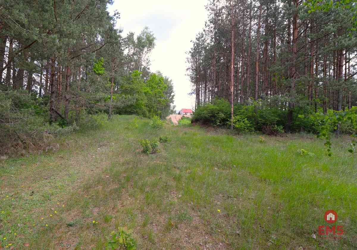 Działka w centrum - zdjęcie 2