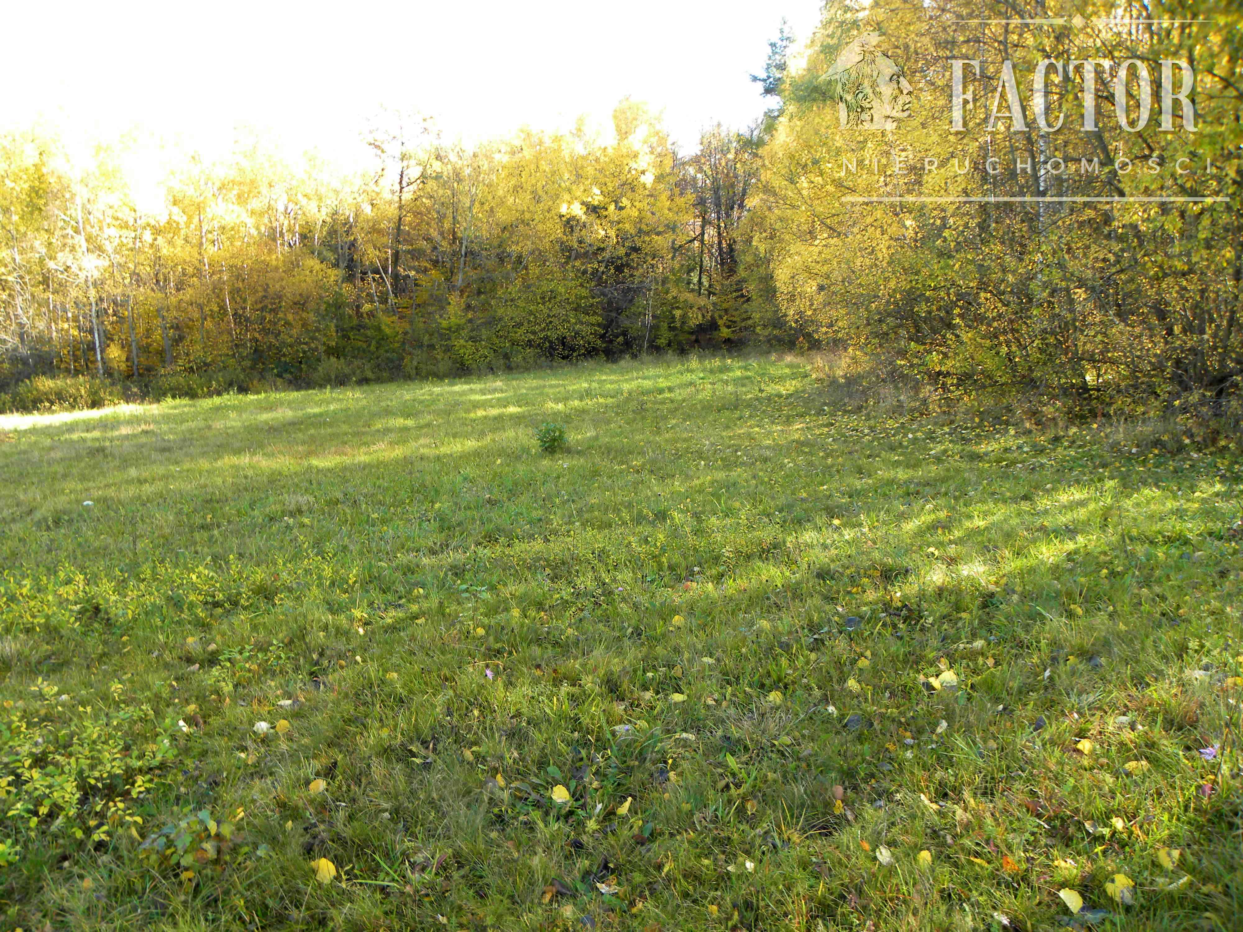 Rozdziele działka rolna 1,58 ha 1071S