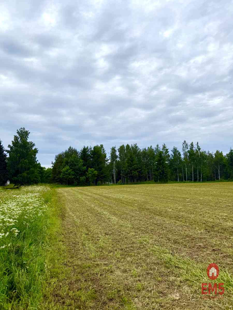 Twoja prywatna linia brzegowa nad Jeziorem Hańcza - zdjęcie 2