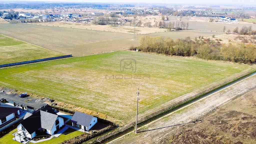 6 działek pod zabudowę jednorodzinną - Słubice - zdjęcie 6