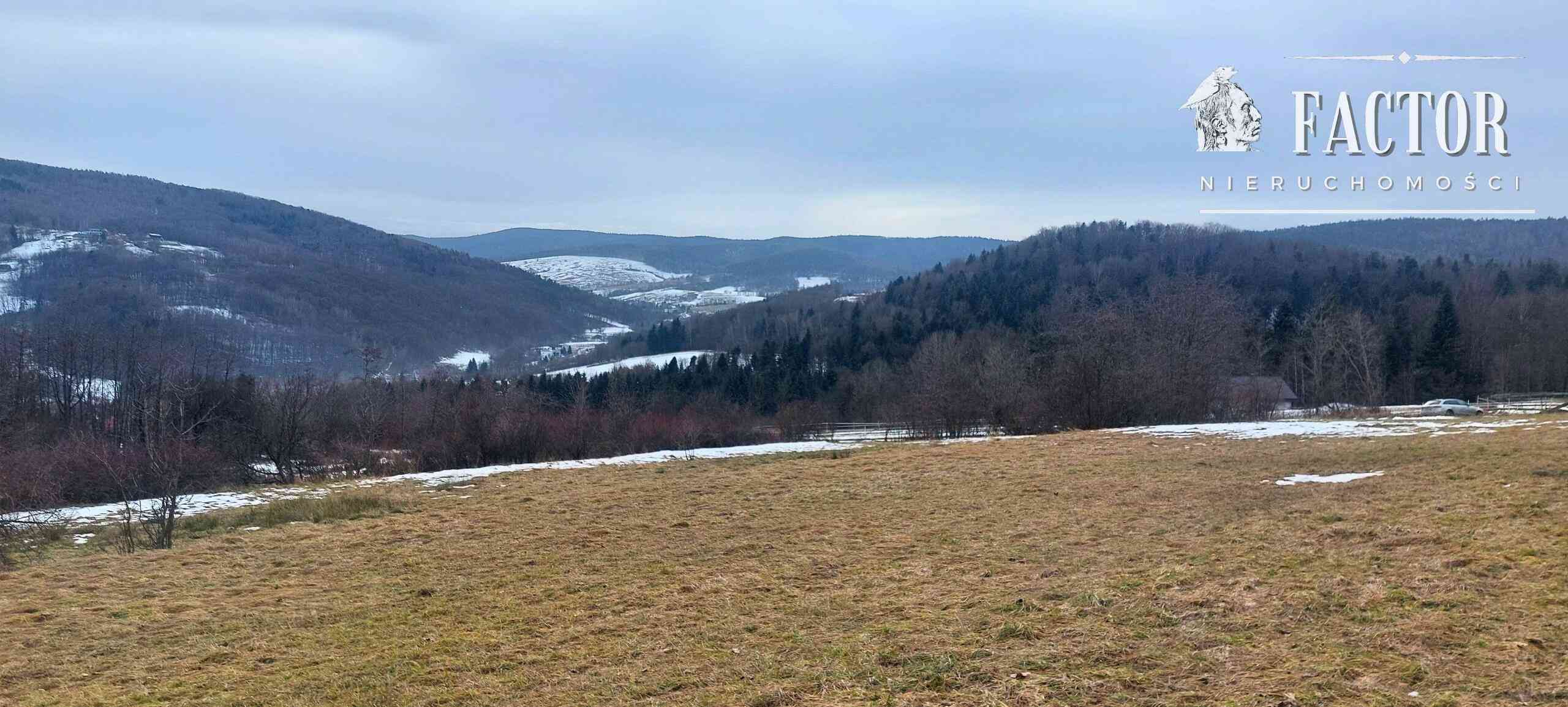 Siary (gm. Sękowa) działka budowlana 41 a 1172S