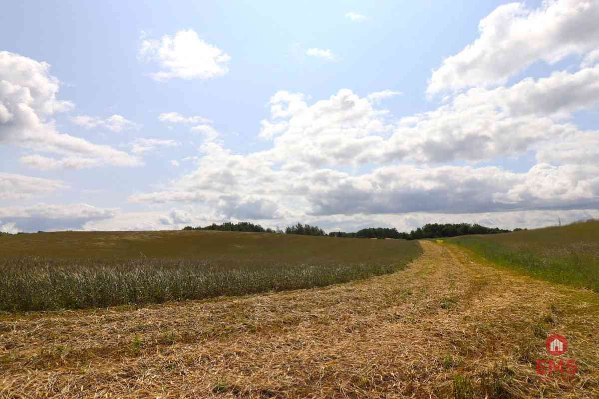 Działka rolno-budowlana Garbas II 5,5 ha