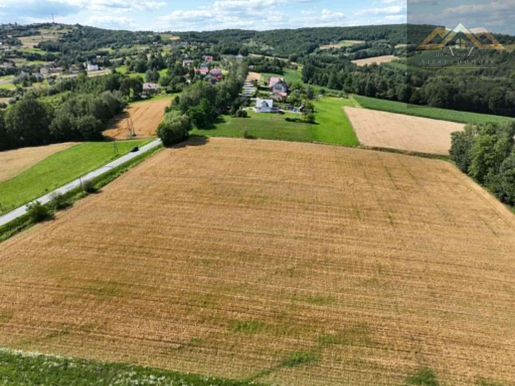Budowlana 91 ar Lichwin gm. Pleśna, przy lesie - zdjęcie 3