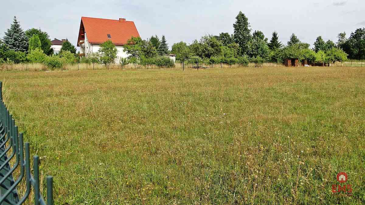 Działka rolno-budowlana 4000 m2, Letniki - zdjęcie 8