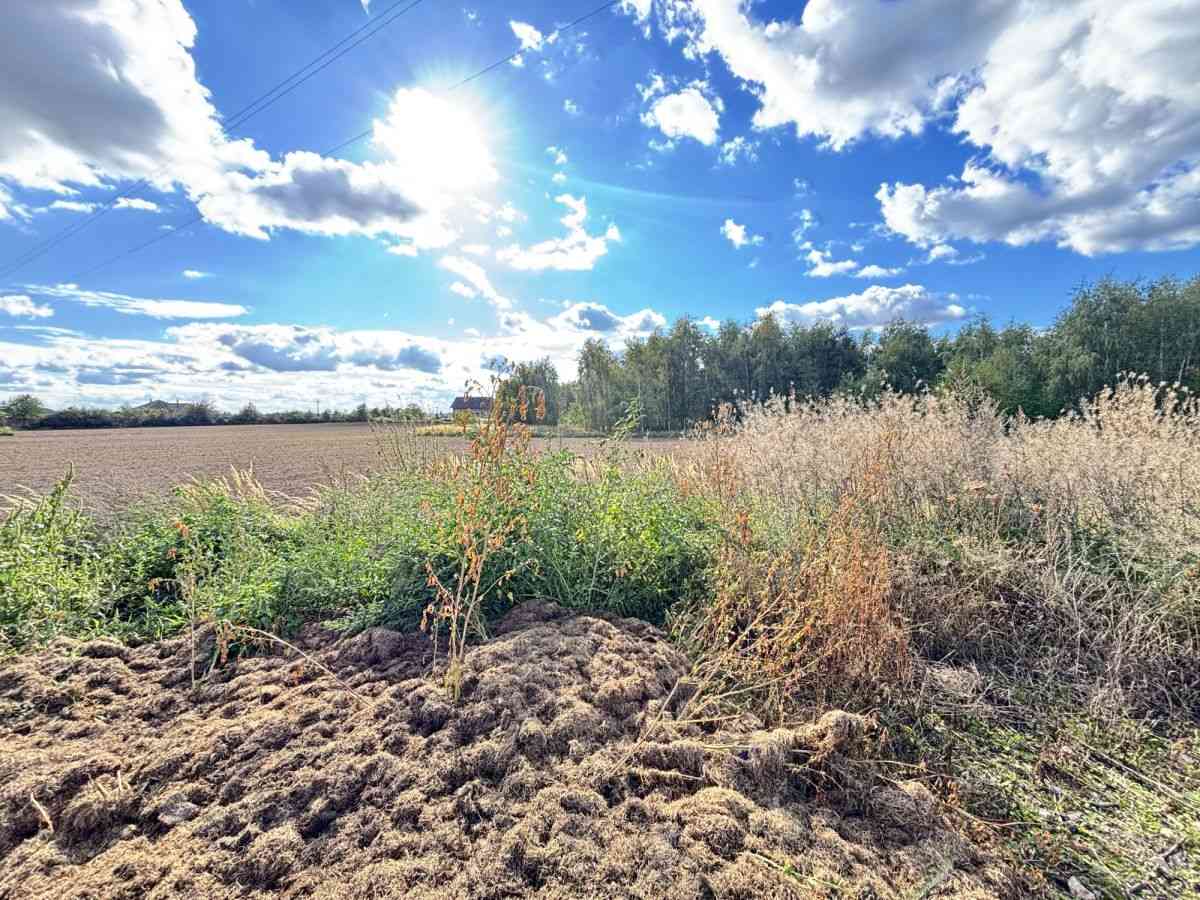 Woda | Prąd | Bezterminowe WZ | | 8 km od Leszna | - zdjęcie 13
