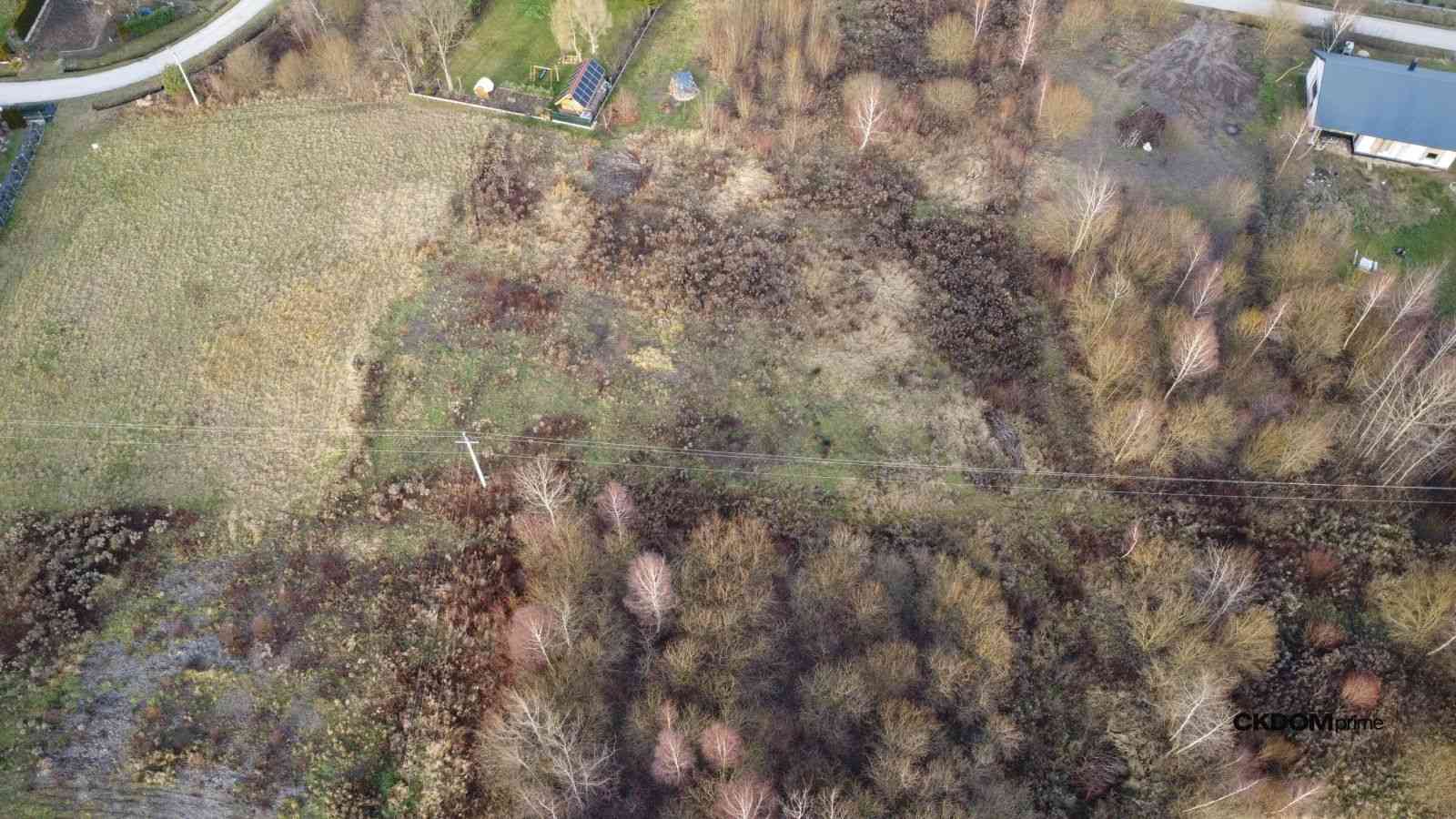 Działka budowalana 1448 m2 Oblęgorek, gm.Strawczyn - zdjęcie 5